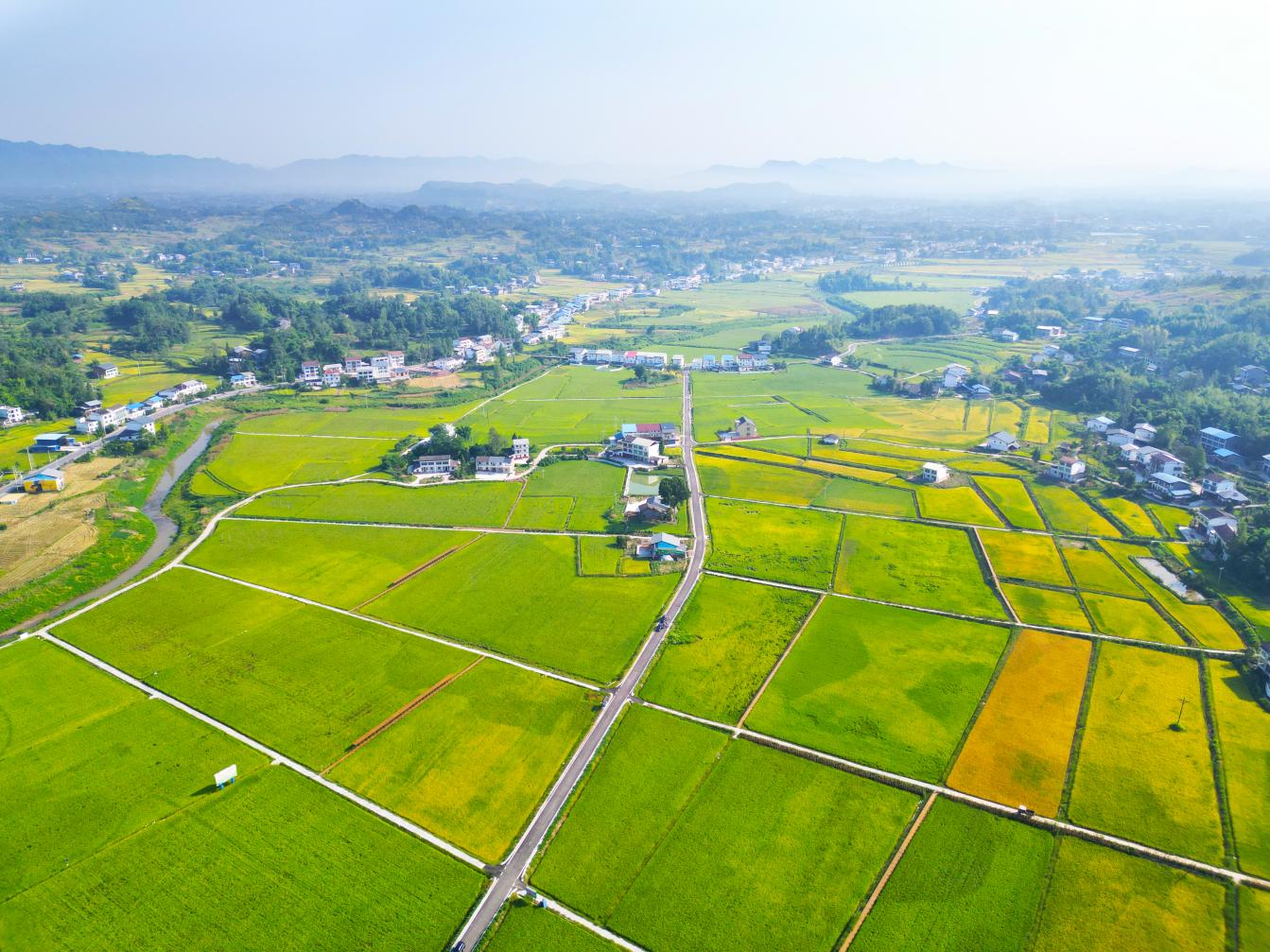 达州市达川区粮油现代农业园区成功创建为省星级现代农业园区